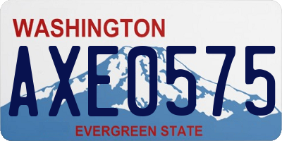 WA license plate AXE0575