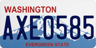 WA license plate AXE0585