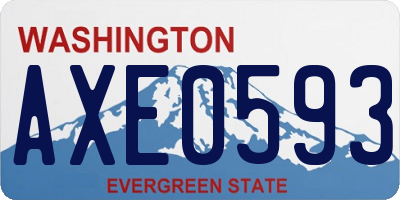 WA license plate AXE0593