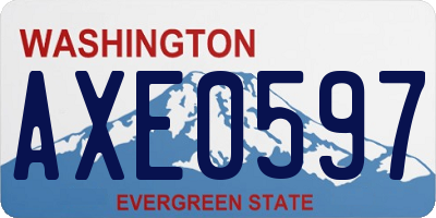 WA license plate AXE0597