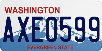 WA license plate AXE0599