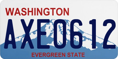 WA license plate AXE0612