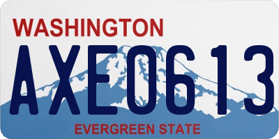 WA license plate AXE0613