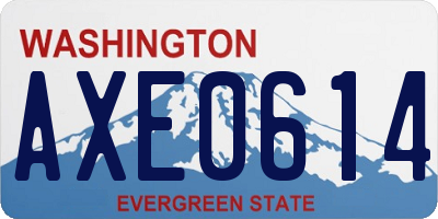 WA license plate AXE0614