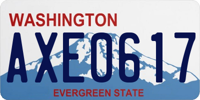 WA license plate AXE0617