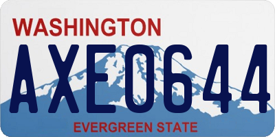 WA license plate AXE0644