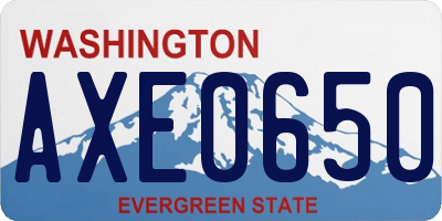 WA license plate AXE0650