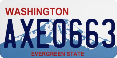 WA license plate AXE0663