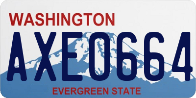 WA license plate AXE0664