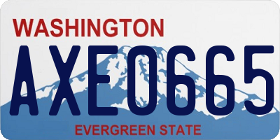 WA license plate AXE0665