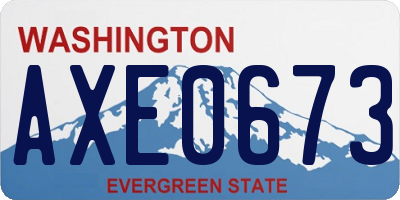 WA license plate AXE0673