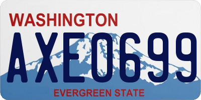 WA license plate AXE0699