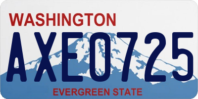 WA license plate AXE0725