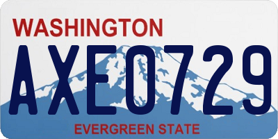 WA license plate AXE0729