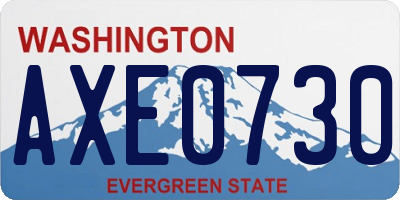 WA license plate AXE0730