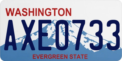 WA license plate AXE0733
