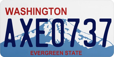 WA license plate AXE0737
