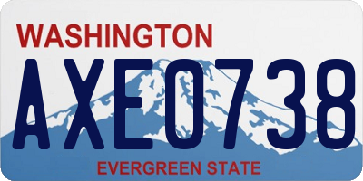 WA license plate AXE0738
