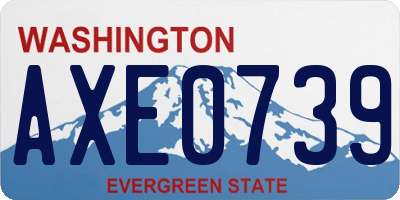 WA license plate AXE0739