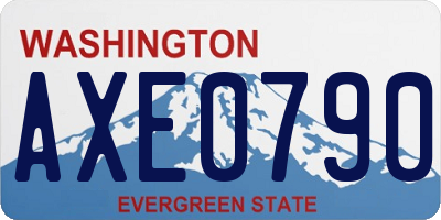 WA license plate AXE0790