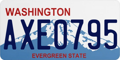 WA license plate AXE0795