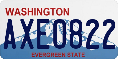 WA license plate AXE0822