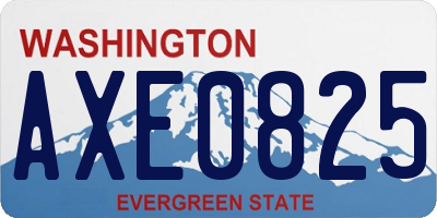 WA license plate AXE0825