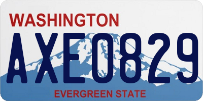 WA license plate AXE0829