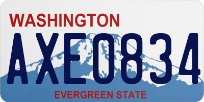 WA license plate AXE0834