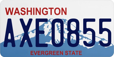 WA license plate AXE0855