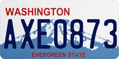 WA license plate AXE0873