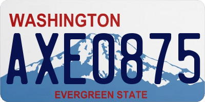WA license plate AXE0875