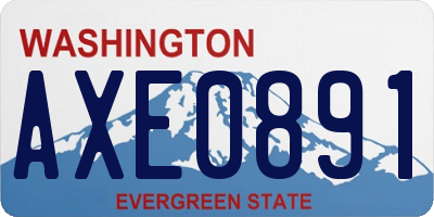 WA license plate AXE0891