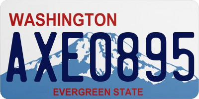 WA license plate AXE0895