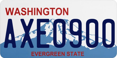 WA license plate AXE0900
