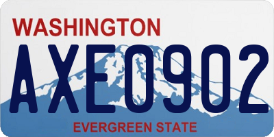 WA license plate AXE0902