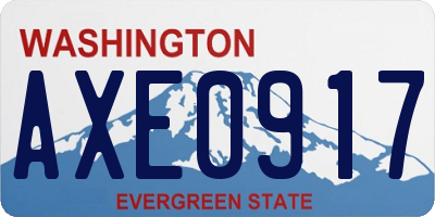 WA license plate AXE0917