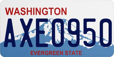WA license plate AXE0950