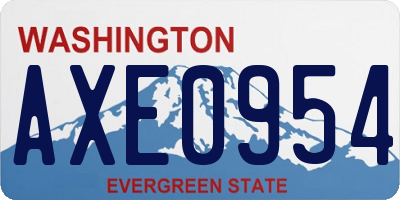 WA license plate AXE0954