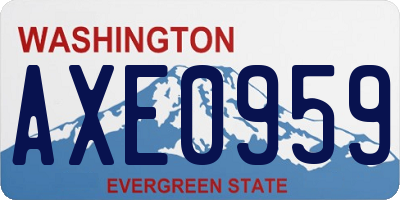 WA license plate AXE0959