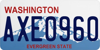 WA license plate AXE0960