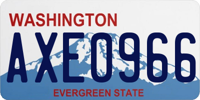 WA license plate AXE0966