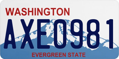 WA license plate AXE0981