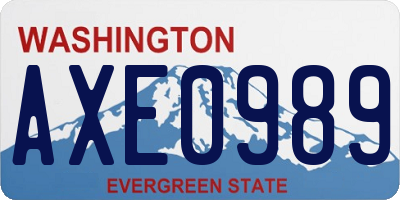 WA license plate AXE0989
