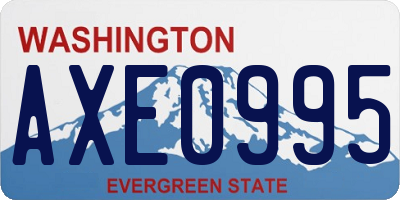 WA license plate AXE0995