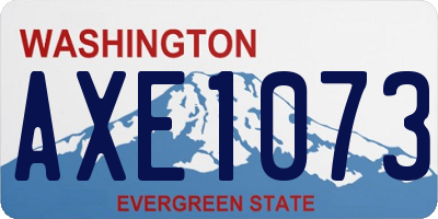 WA license plate AXE1073