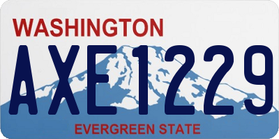 WA license plate AXE1229