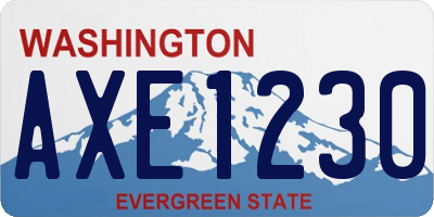 WA license plate AXE1230