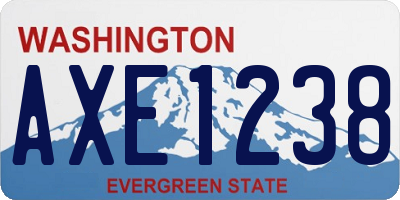 WA license plate AXE1238