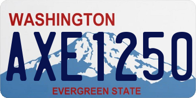 WA license plate AXE1250